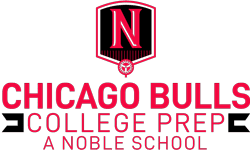 bulls-intro-logo